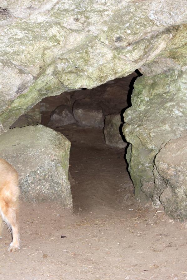 Kakushöhle